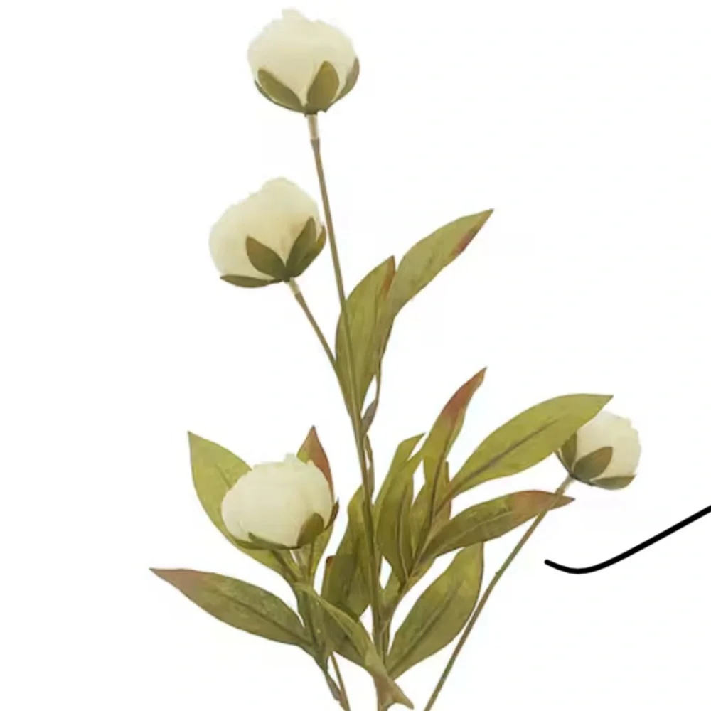 New Set of 5 Ashland by Michael’s 28” Cream Peony Stems